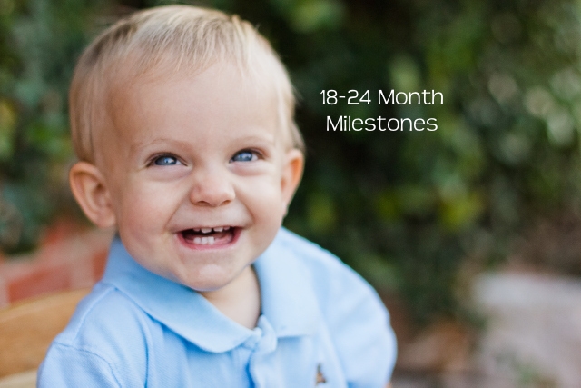 Developmental Skills for Toddlers 18-24 Months Old 18 mo - 2 years Milestones