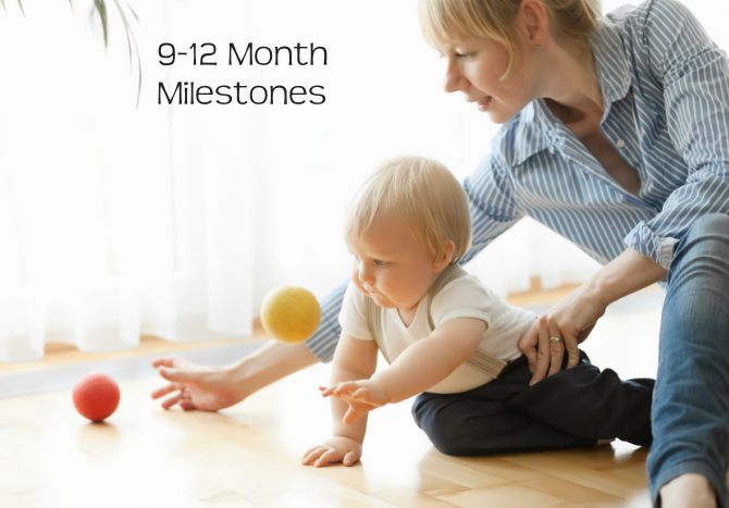 Developmental Skills for Babies 9-12 Months Old